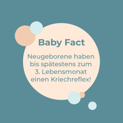 Baby Fact! - Kriechreflex - 