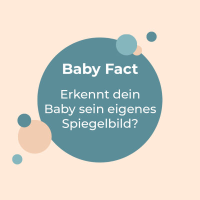 Baby Fact! - Spiegelbild - 