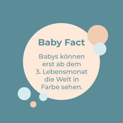 Baby Fact! - Farben sehen - 