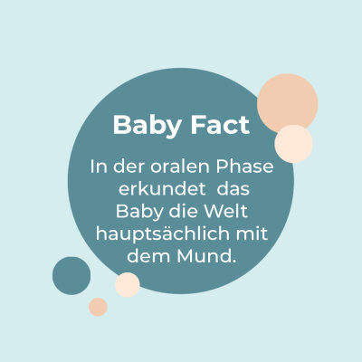 Baby Fact! - Orale Phase - 